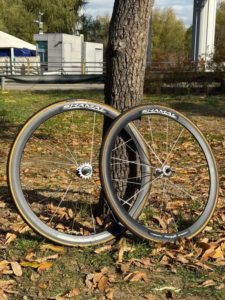 Campagnolo Shamal Track Black Wheelset | Bunjang Global